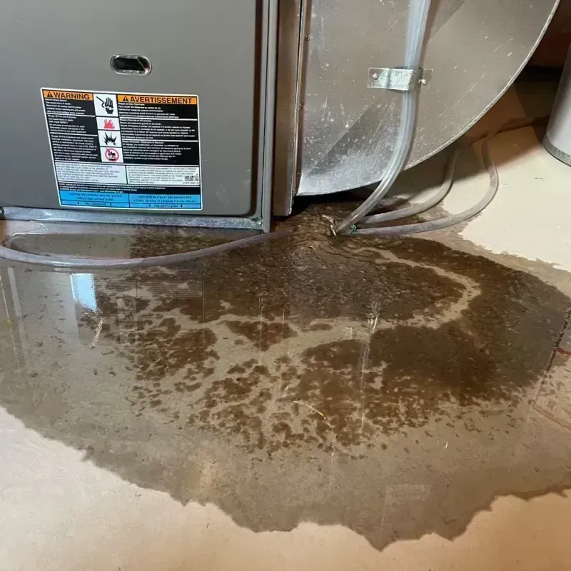 Appliance Leak Cleanup in Lincoln County, KY